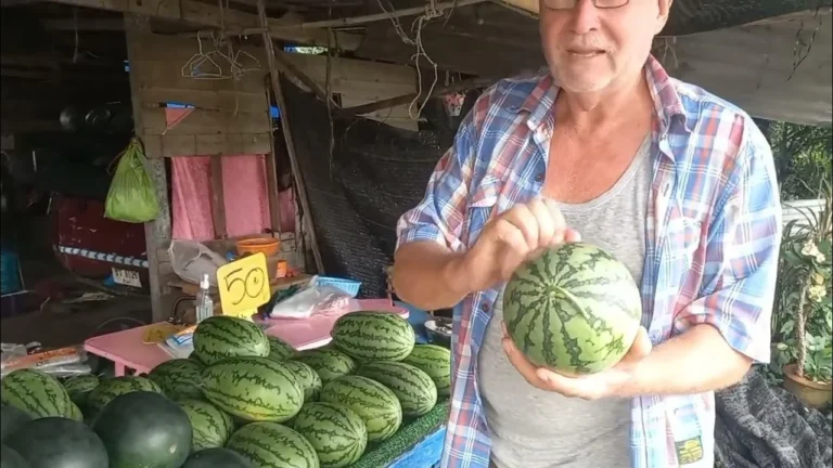 Die ultimative Methode zur Lagerung von ganzen Wassermelonen: Tipps von Bauern