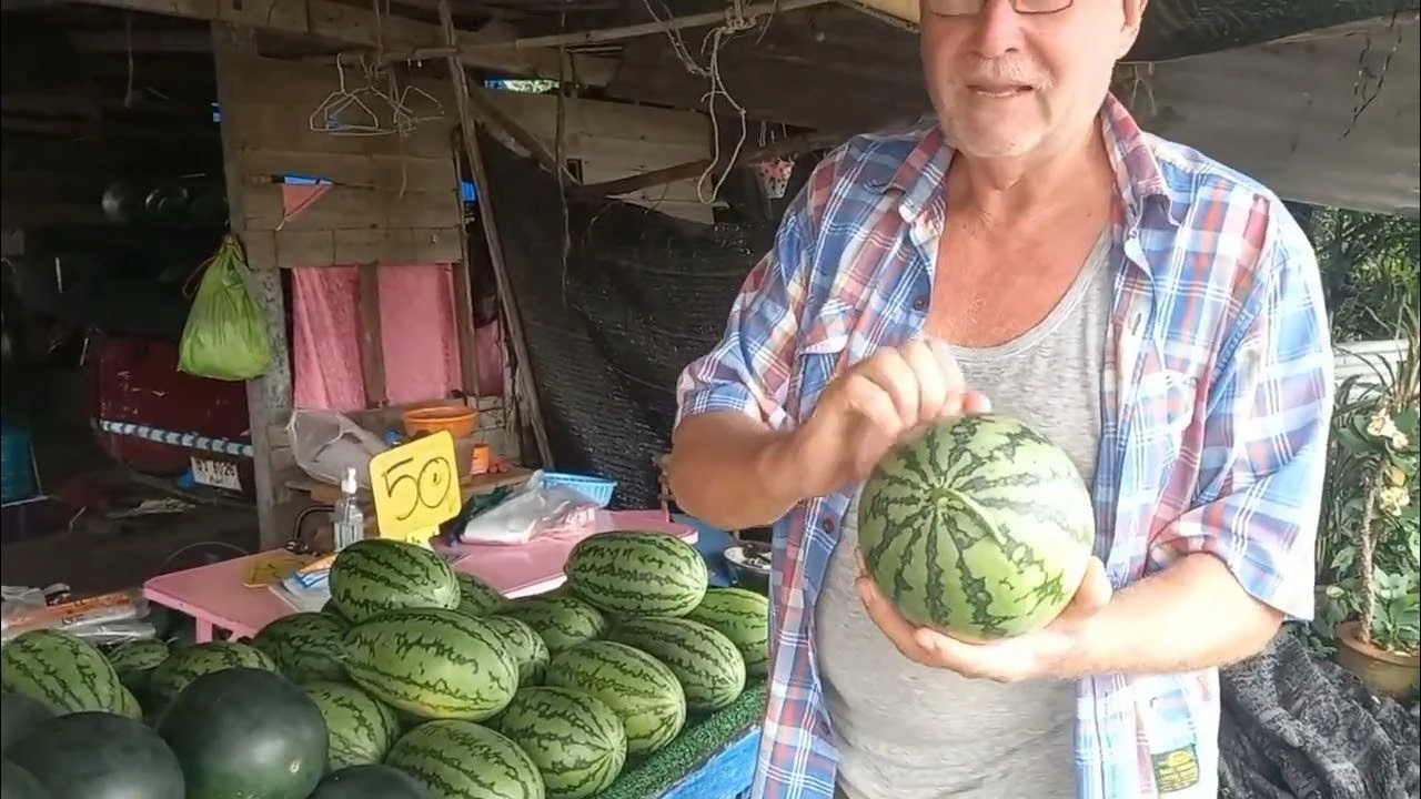 Die ultimative Methode zur Lagerung von ganzen Wassermelonen: Tipps von Bauern