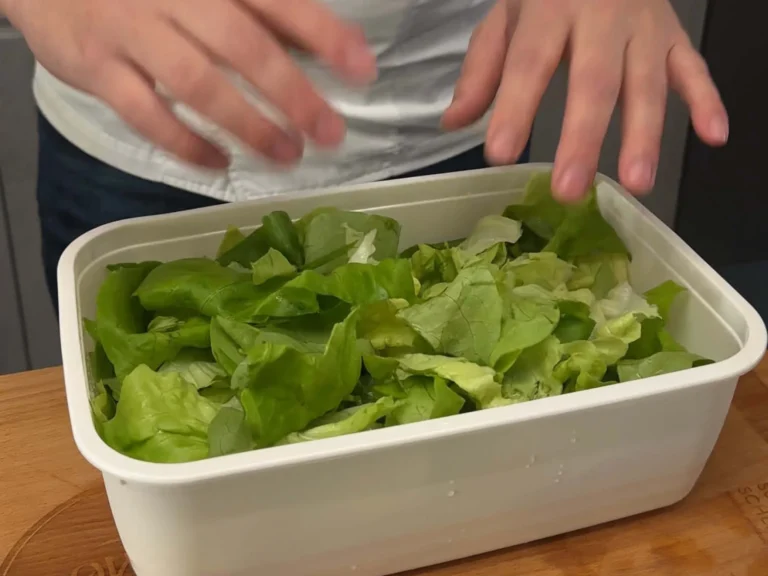 Salat frisch halten: Sechs Experten verraten die beste Methode – und sie ist überraschend einfach