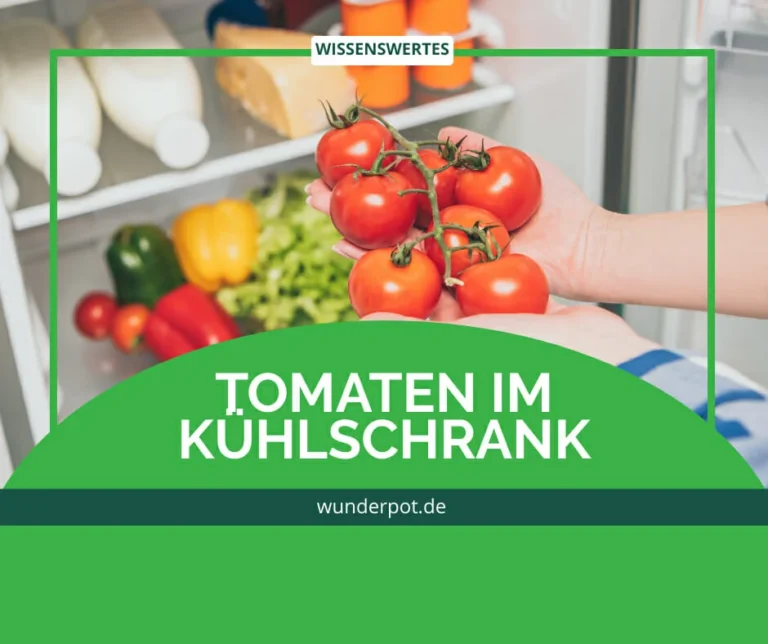Tomaten richtig lagern: Kühlschrank ja oder nein? Der ultimative Guide