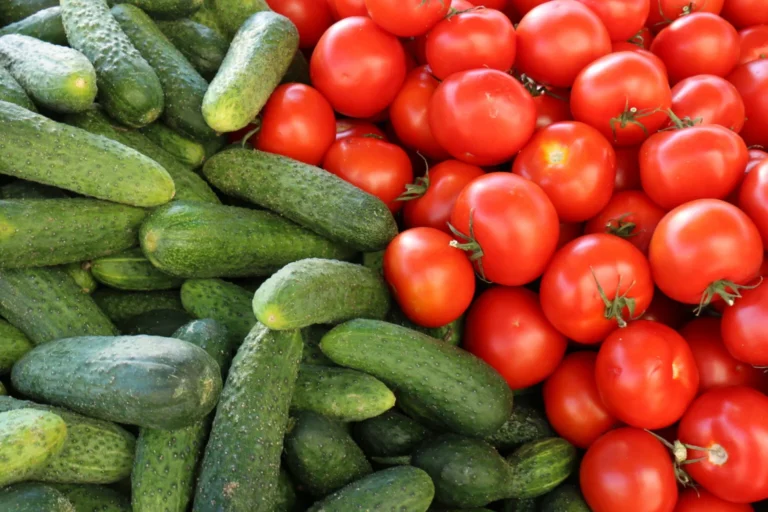 Tomaten vs. Gurken: Welcher Snack hydriert besser?